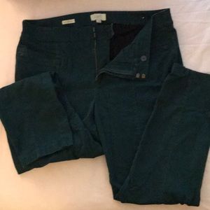 Super soft Curvey ankle bands